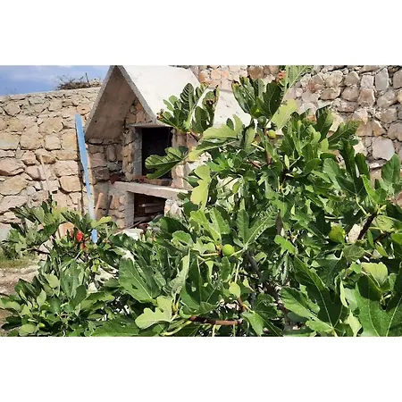 Endless Horizont Lejlighed