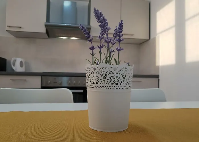 Endless Horizont Apartman *